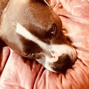 Meet your Posher, Delaney